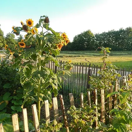 Bio-ferienhof Scheckenbauer * Hottingen