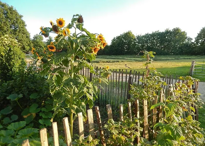 Bio-ferienhof Scheckenbauer * Hottingen